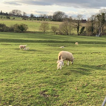 Weatherhead Farm Shepherds Hut Buckingham Exterior foto