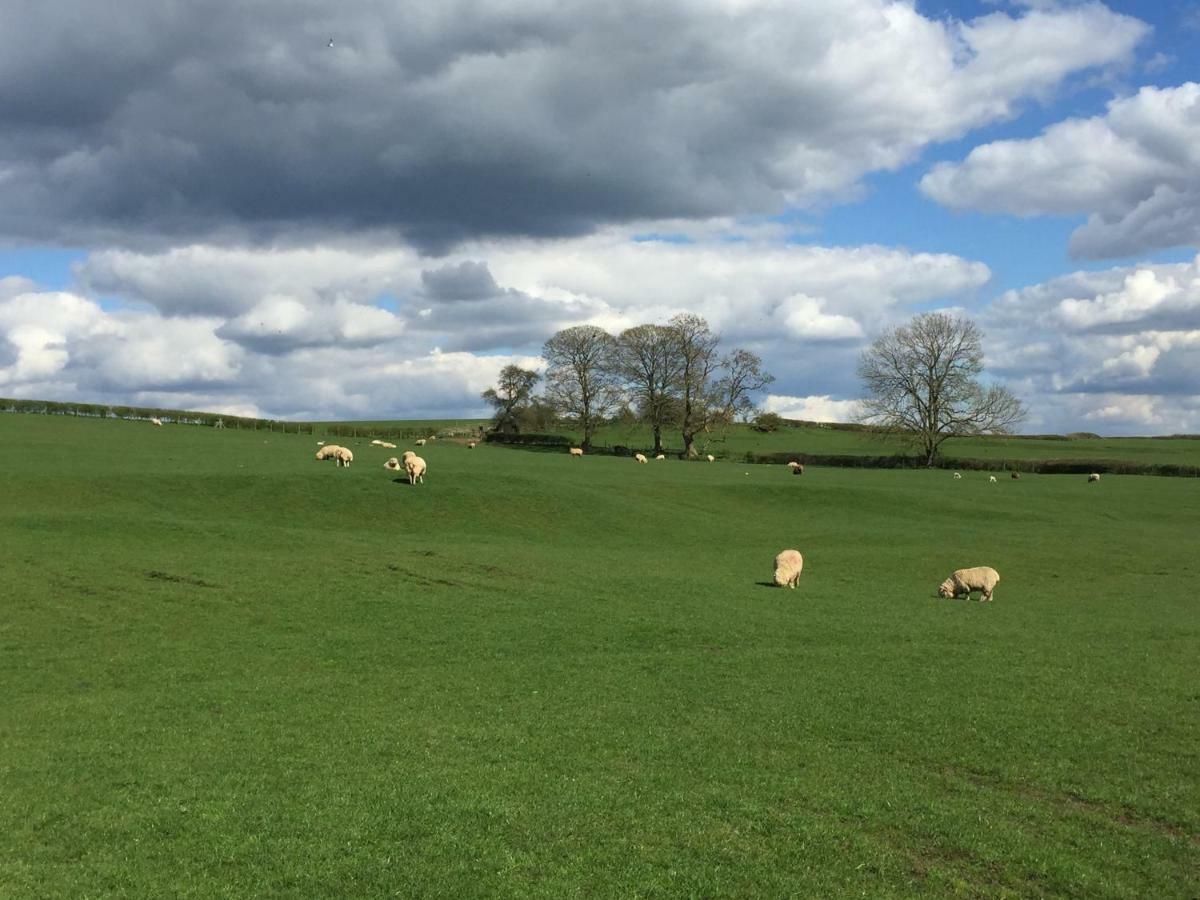 Weatherhead Farm Shepherds Hut Buckingham Exterior foto